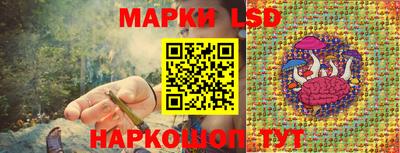 крисы Кулебаки