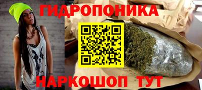 крисы Кулебаки