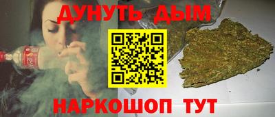 крисы Кулебаки