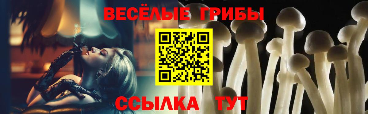 Псилоцибиновые грибы ЛСД  Вход с VPN  Солнечногорск  Псилоцибиновые грибы Cubensis 