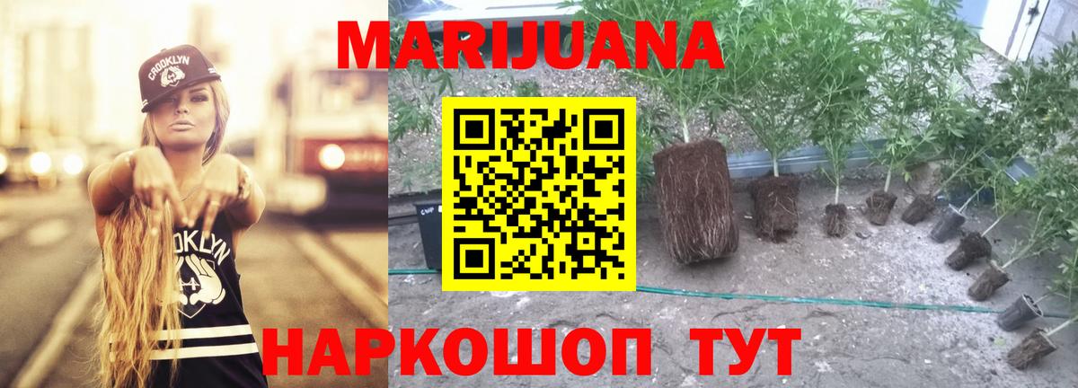 Солнечногорск  Марихуана Amnesia  МАРИХУАНА Bruce Banner  Вход с VPN  Каннабис план 